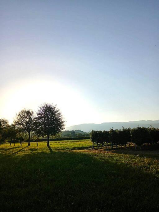 Relax Nelle Colline Del Prosecco Daire Pederobba Dış mekan fotoğraf
