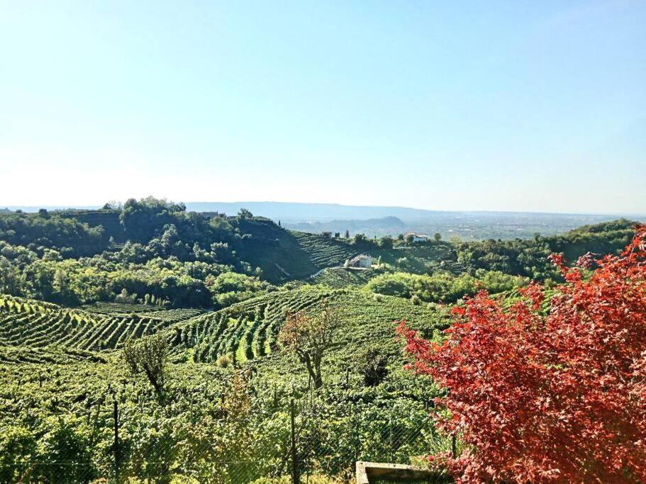 Relax Nelle Colline Del Prosecco Daire Pederobba Dış mekan fotoğraf
